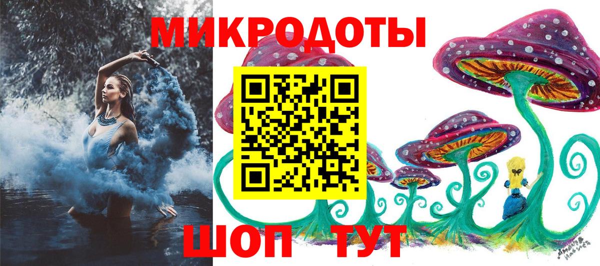 Псилоцибиновые грибы Psilocybe Людиново
