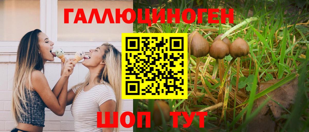 Людиново  Галлюциногенные грибы Magic Shrooms  где найти наркотики  Псилоцибиновые грибы MAGIC MUSHROOMS  Вход с VPN 